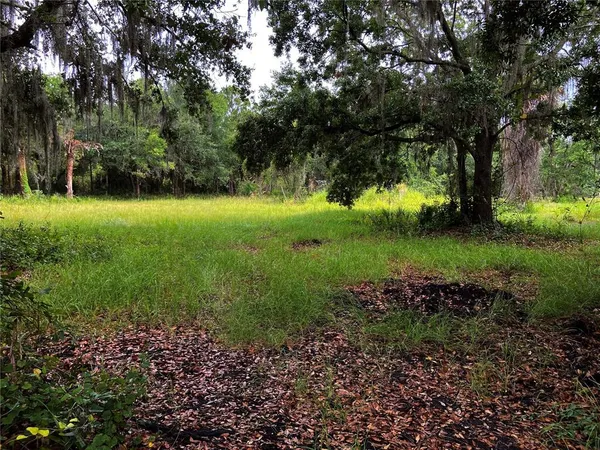 a view of a garden with a tree