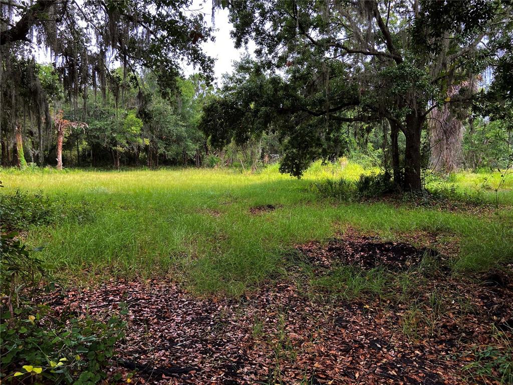 Lightfoot Road Wimauma, FL 33598 - Photo 2 of 16 a view of a garden with a tree