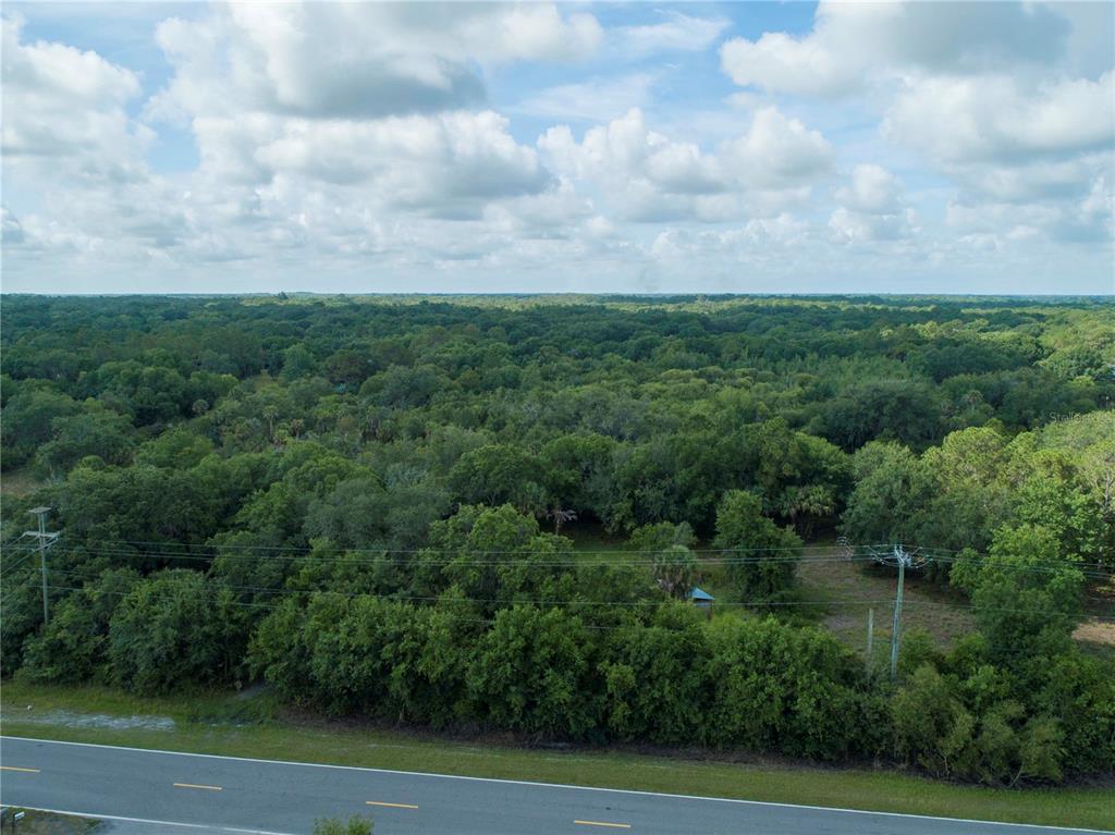 Lightfoot Road Wimauma, FL 33598 - Photo 5 of 16 a view of a yard