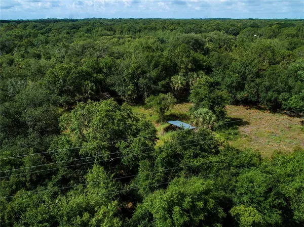 a view of a lush green space