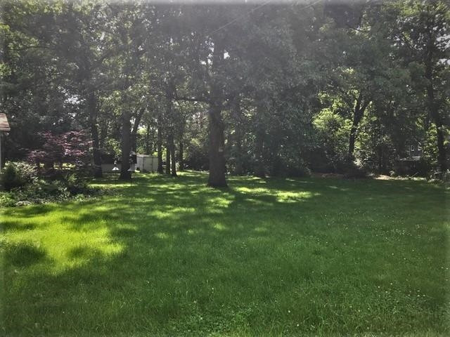 5253 Pratt Road Ann Arbor, MI 48103 - Photo 54 of 56 Photo 54