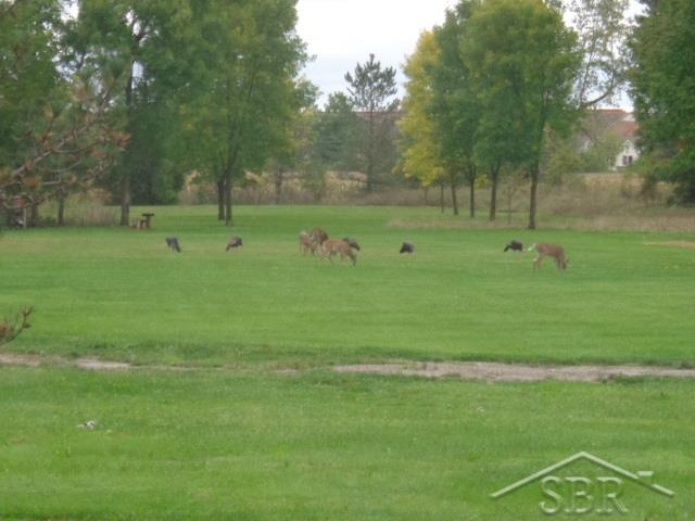 2466 Liberty Road Saginaw, MI 48604 - Photo 58 of 58 Backyard