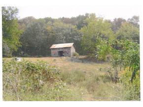 1270 Woolsey Road Greeneville, TN 37745 - Photo 2 of 2 Photo 2