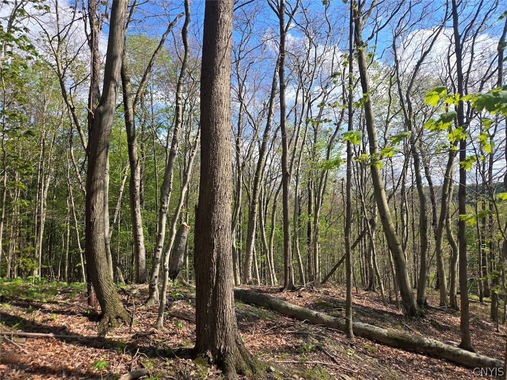 Pochuck Road Bliss, NY 14024 - Photo 16 of 23