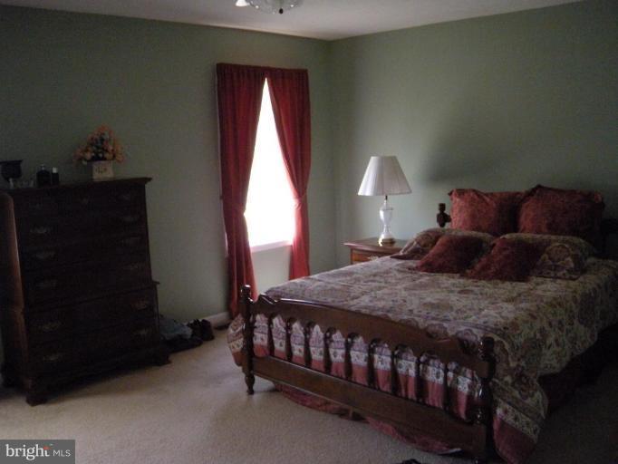 3070 Apple Pie Ridge Road Winchester, VA 22603 - Photo 11 of 23 Master Bedroom