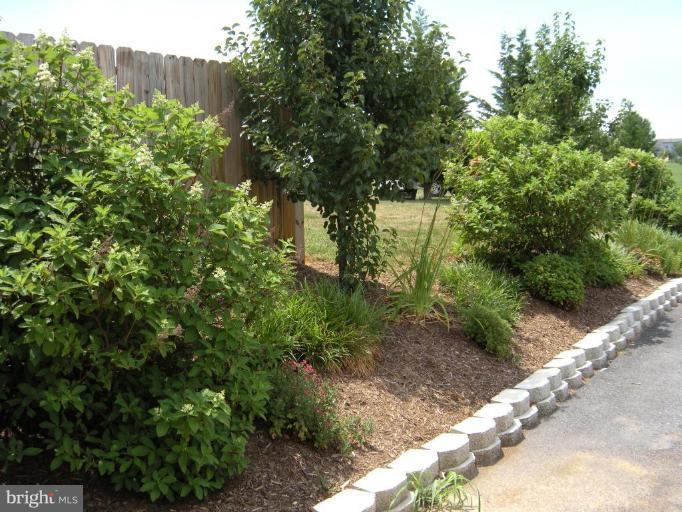 3070 Apple Pie Ridge Road Winchester, VA 22603 - Photo 23 of 23 great landscaping