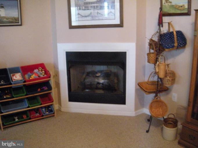 3070 Apple Pie Ridge Road Winchester, VA 22603 - Photo 6 of 23 Fireplace