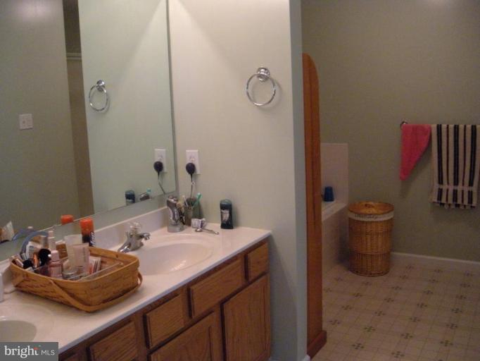 3070 Apple Pie Ridge Road Winchester, VA 22603 - Photo 10 of 23 Master Bath