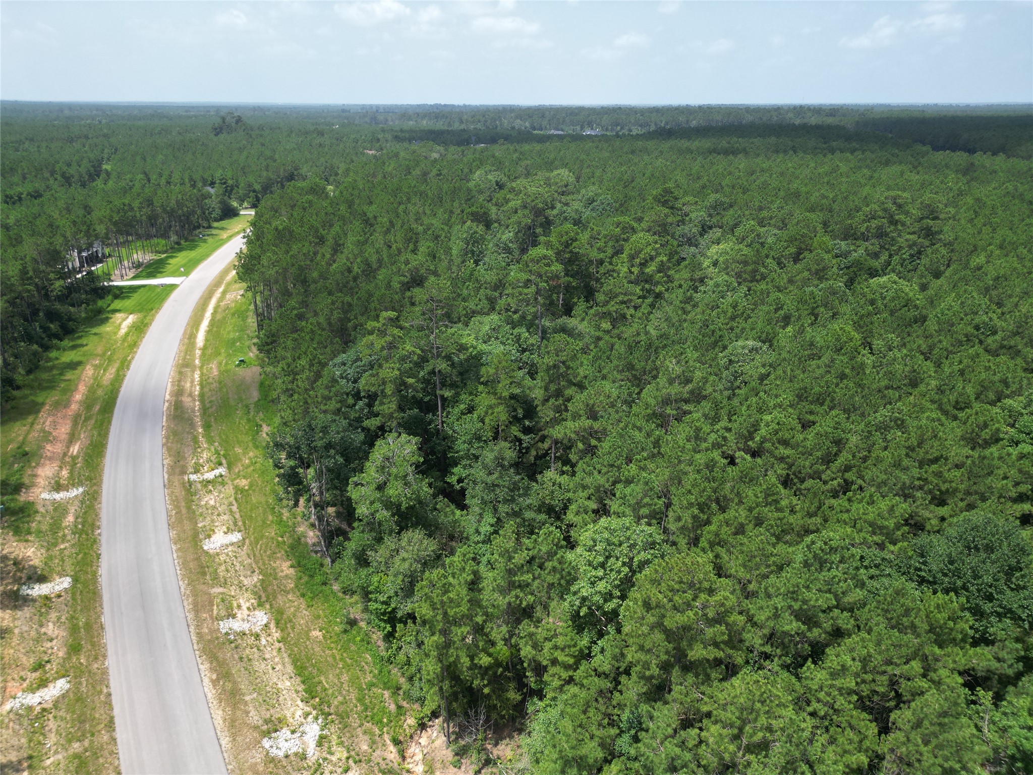 15884 Ridge Oak Road Willis, TX 77378 - Photo 2 of 24