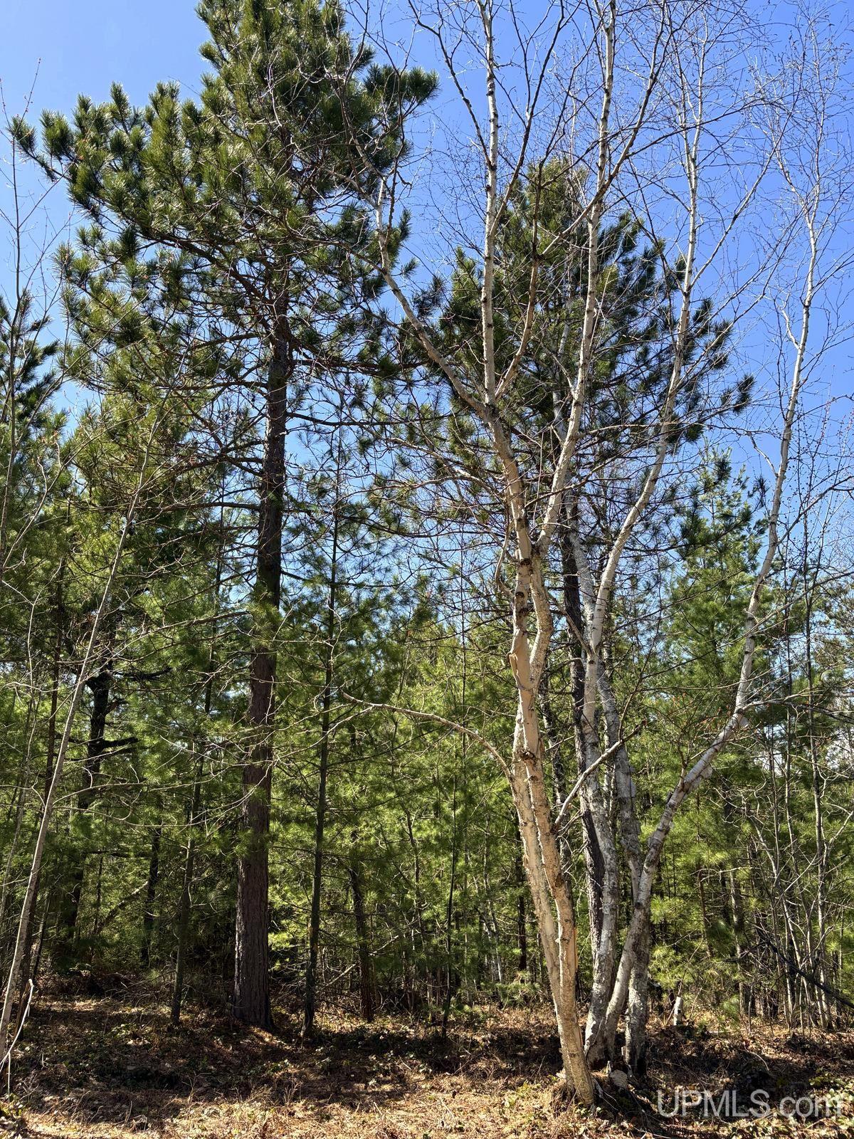 Tbd Valley Road Marquette, MI 49855 - Photo 53 of 59