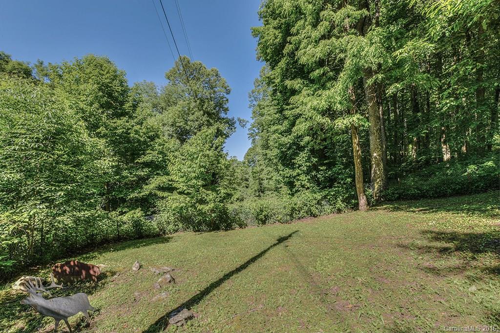 85 Miner Road Waynesville, NC 28785 - Photo 3 of 24 a view of a yard with plants and large trees