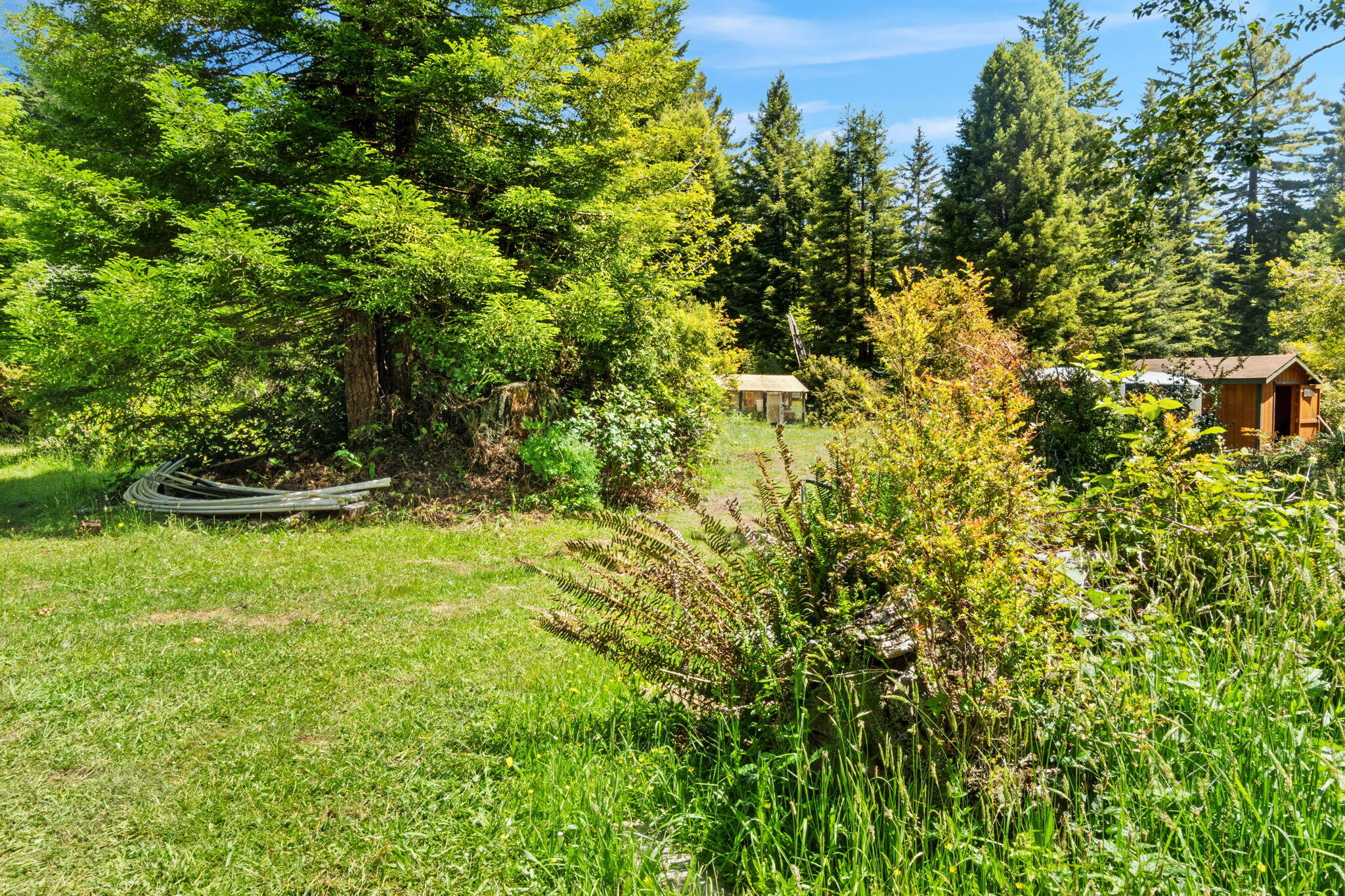 1446 Fox Farm Road Trinidad, CA 95570 - Photo 45 of 64