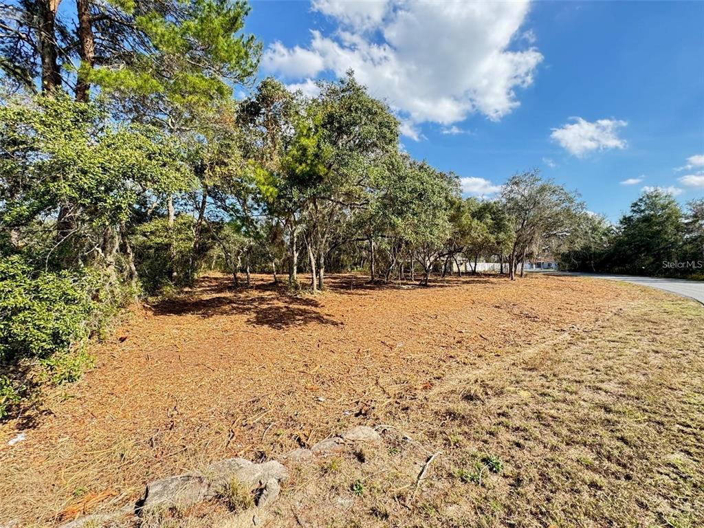 Oak Circle Ocala, FL 34472 - Photo 2 of 4 a view of covered with snow