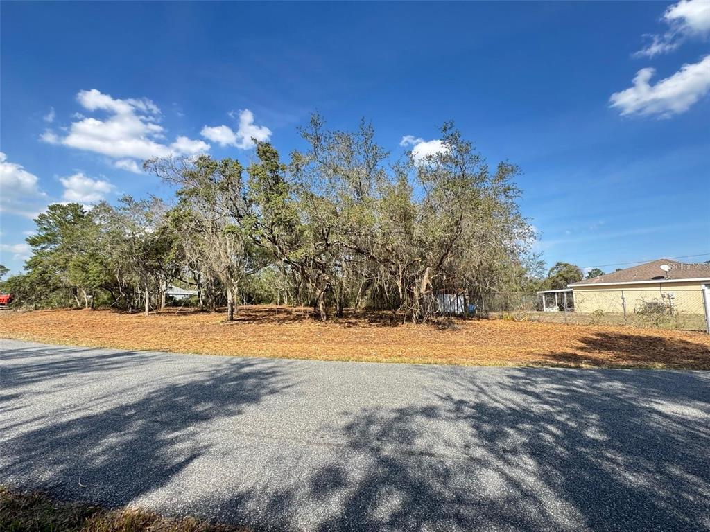 Oak Circle Ocala, FL 34472 - Photo 3 of 4 a view of empty space with large trees