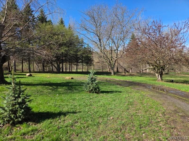 6161 Clinton Street Road Stafford, NY 14416 - Photo 2 of 42