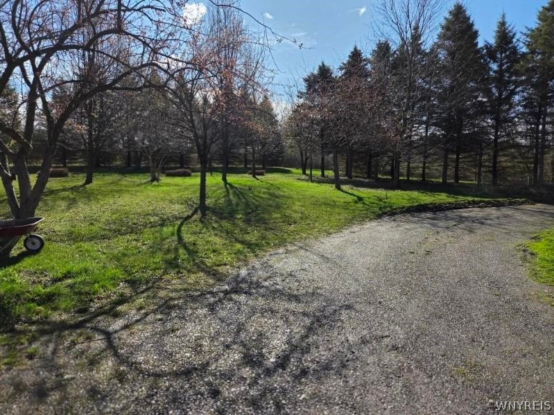 6161 Clinton Street Road Stafford, NY 14416 - Photo 3 of 42