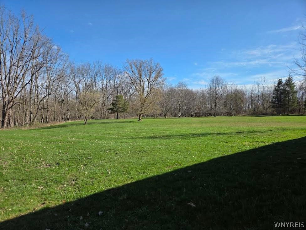 6161 Clinton Street Road Stafford, NY 14416 - Photo 9 of 42