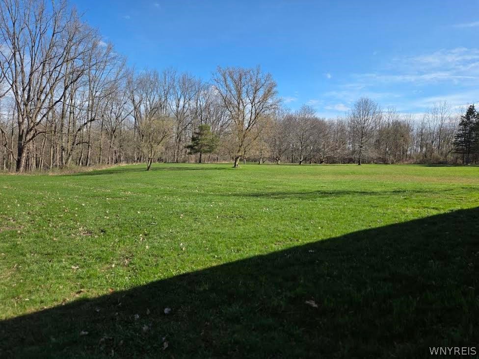 6161 Clinton Street Road Stafford, NY 14416 - Photo 10 of 42