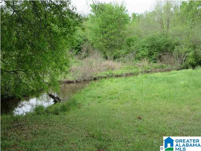 1872 County Road 53 Clanton, AL 35045 - Photo 29 of 31