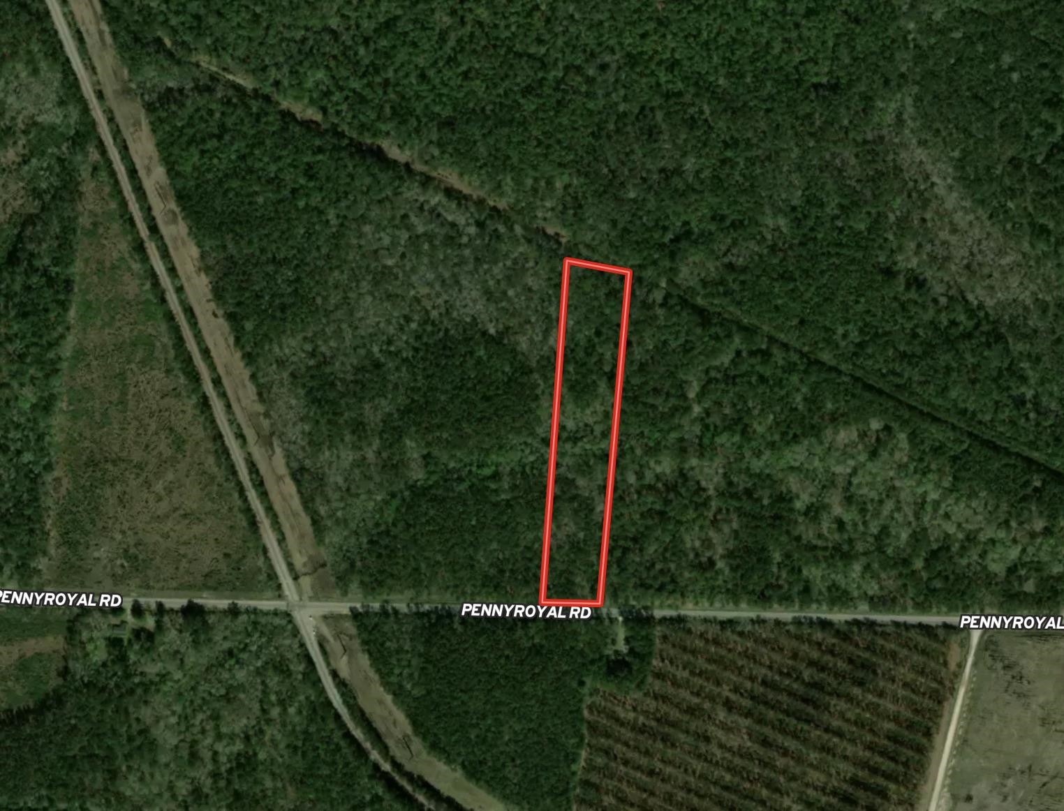 Tract B - Tbd Tract B - Tbd Pennyroyal Road Georgetown, SC 29440 - Photo 23 of 23