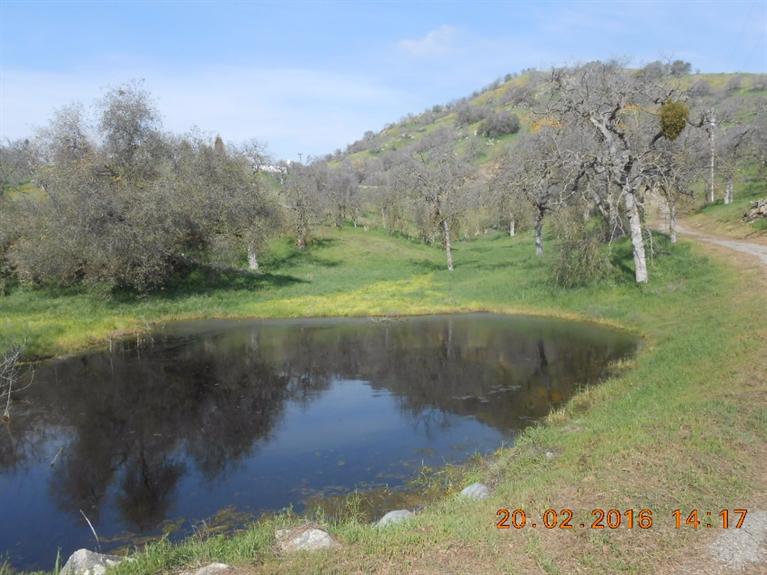 33881 George Smith Road Squaw Valley, CA 93675 - Photo 2 of 11 Gallery Image 2