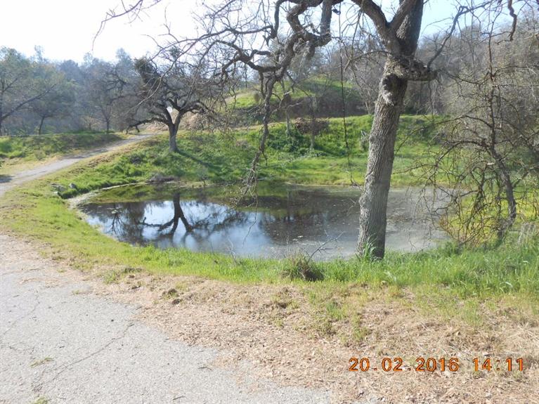 33881 George Smith Road Squaw Valley, CA 93675 - Photo 11 of 11 Gallery Image 11