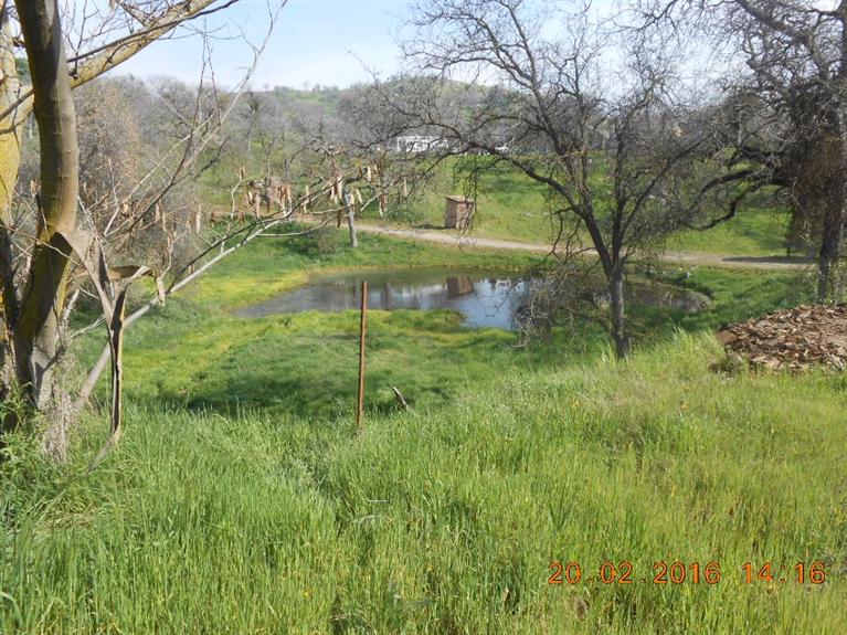 33881 George Smith Road Squaw Valley, CA 93675 - Photo 3 of 11 Gallery Image 3