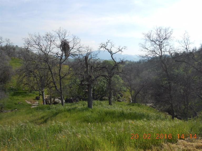 33881 George Smith Road Squaw Valley, CA 93675 - Photo 5 of 11 Gallery Image 5
