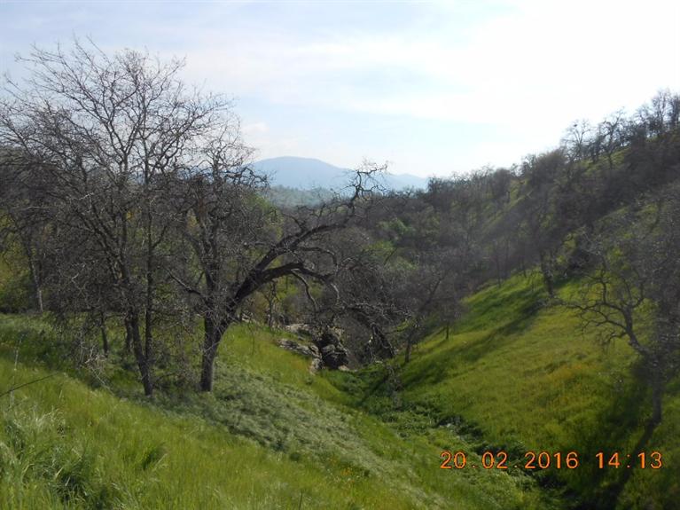 33881 George Smith Road Squaw Valley, CA 93675 - Photo 6 of 11 Gallery Image 6