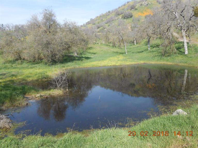 33881 George Smith Road Squaw Valley, CA 93675 - Photo 8 of 11 Gallery Image 8