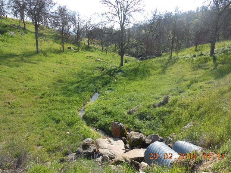33881 George Smith Road Squaw Valley, CA 93675 - Photo 9 of 11 Gallery Image 9