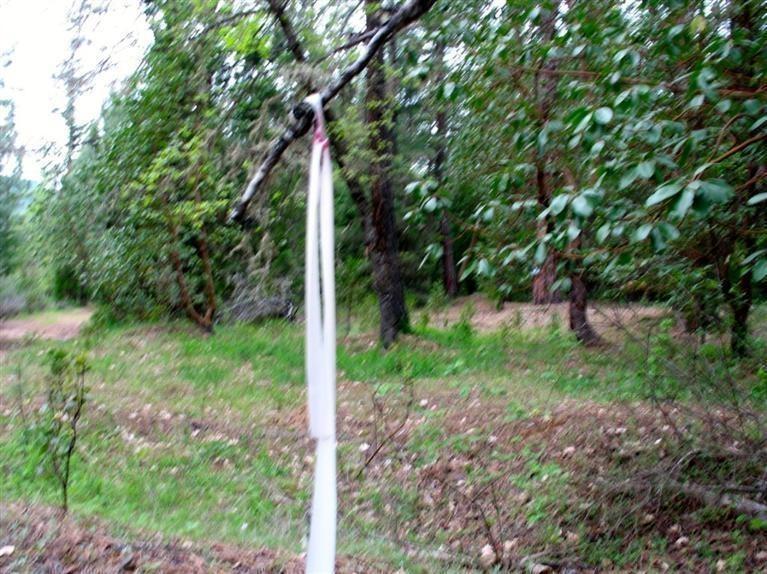 0 Jack Creek Road Grants Pass, OR 97526 - Photo 21 of 25 Southwest corner looking along the Weste