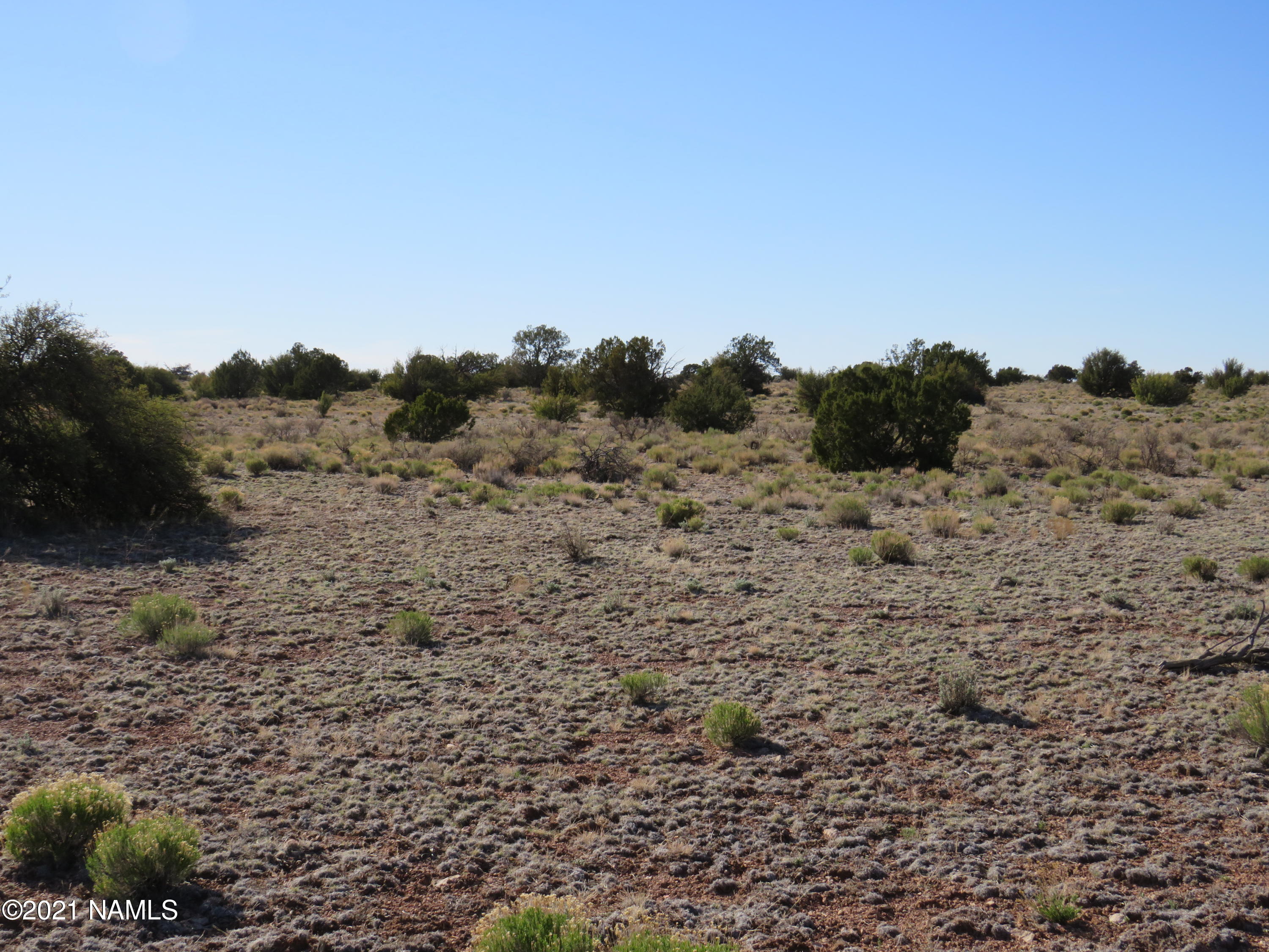 2150 Red Butte Road Williams, AZ 86046 - Photo 15 of 27 a view of a dry field with trees in the background