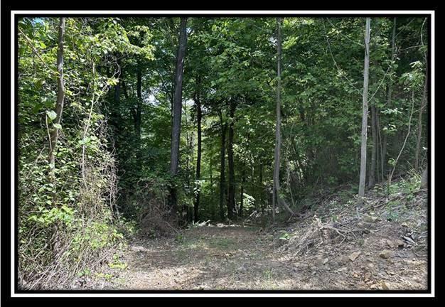 85 Weaver Road, Unit TRACT B) Chillicothe, OH 45601 - Photo 9 of 49 image008