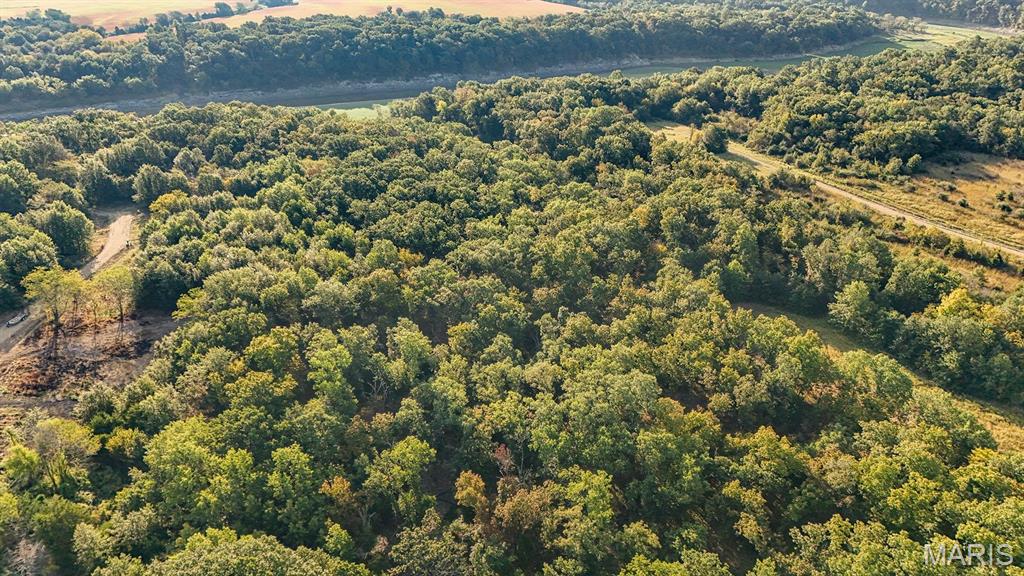 10 Hopkins Road Perry, MO 63462 - Photo 12 of 32