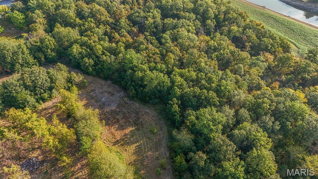 10 Hopkins Road Perry, MO 63462 - Photo 7 of 32