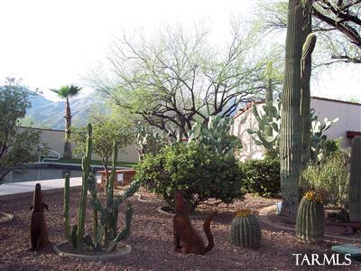 8450 East Snyder Road Tucson, AZ 85750 - Photo 9 of 23