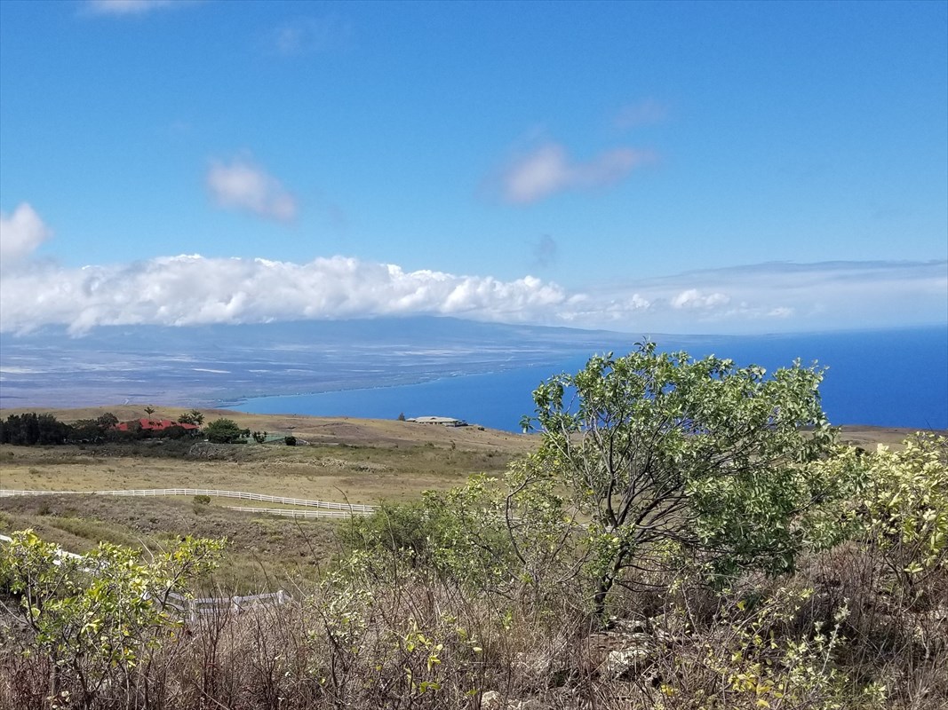 547 Kohala Ranch Road, Unit 547 Kamuela, HI 96743 - Photo 1 of 6 Gallery Image 1
