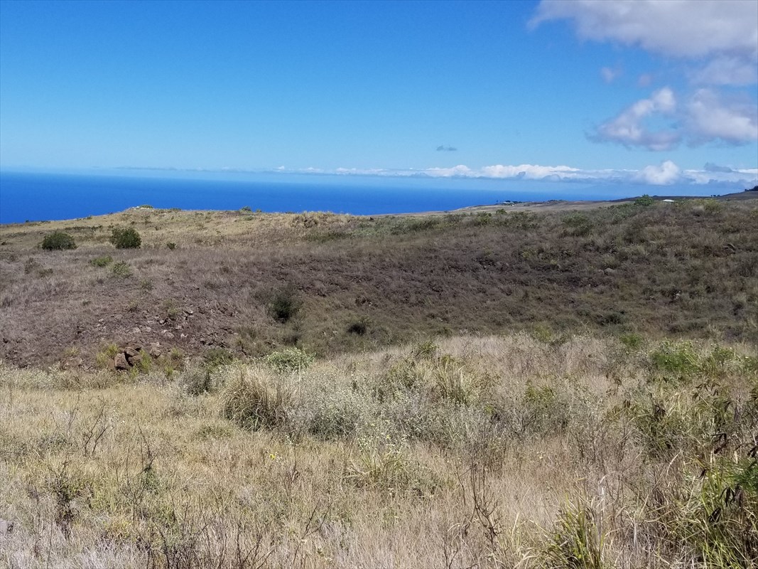 547 Kohala Ranch Road, Unit 547 Kamuela, HI 96743 - Photo 6 of 6 Gallery Image 6