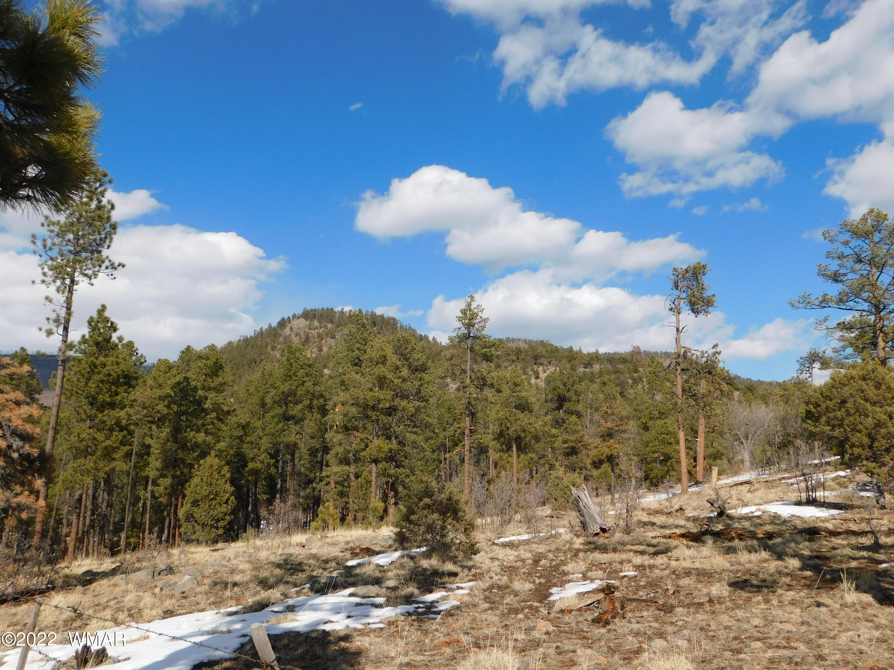 42 County Road Alpine, AZ 85920 - Photo 11 of 17