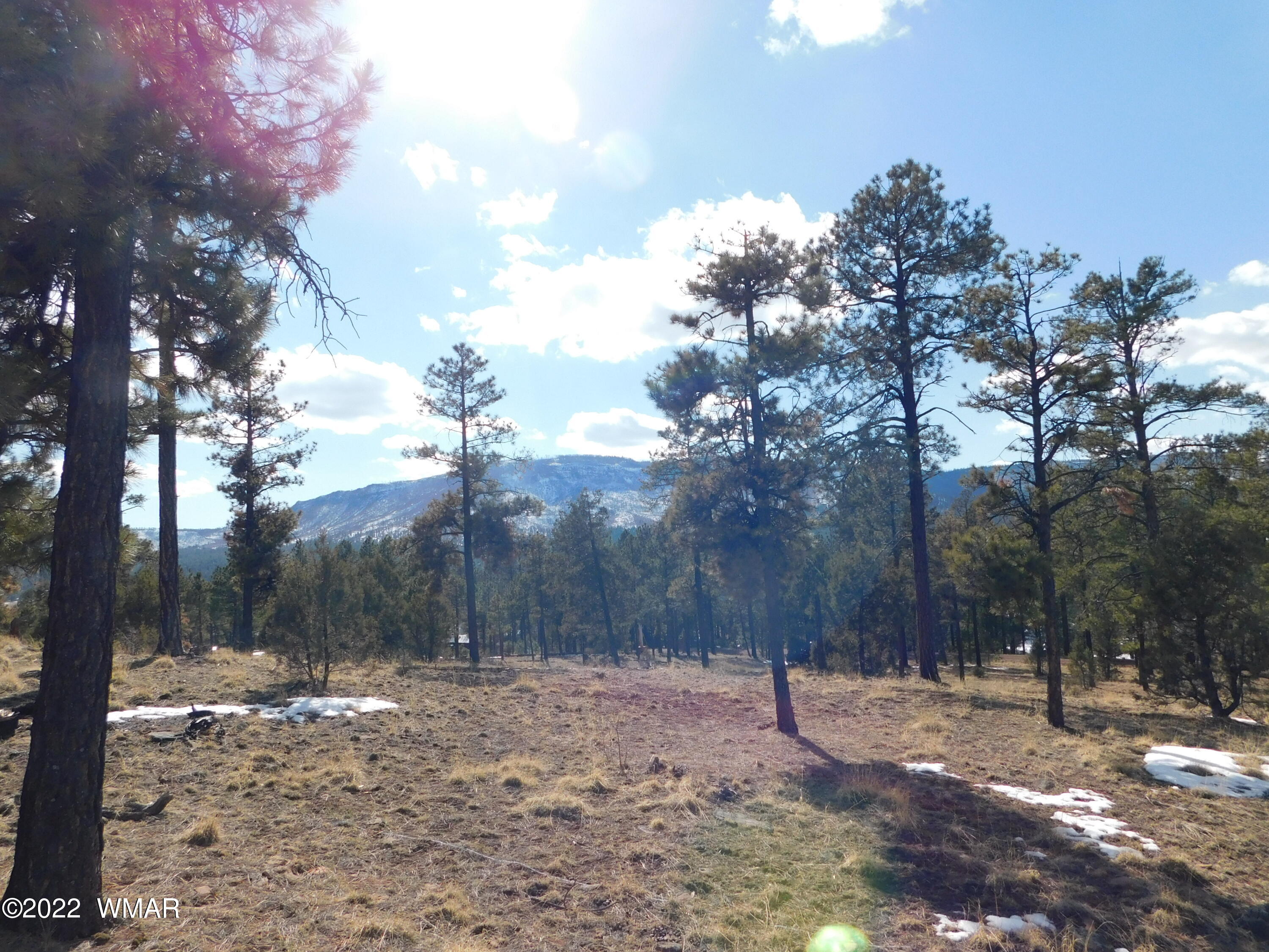 42 County Road Alpine, AZ 85920 - Photo 12 of 17