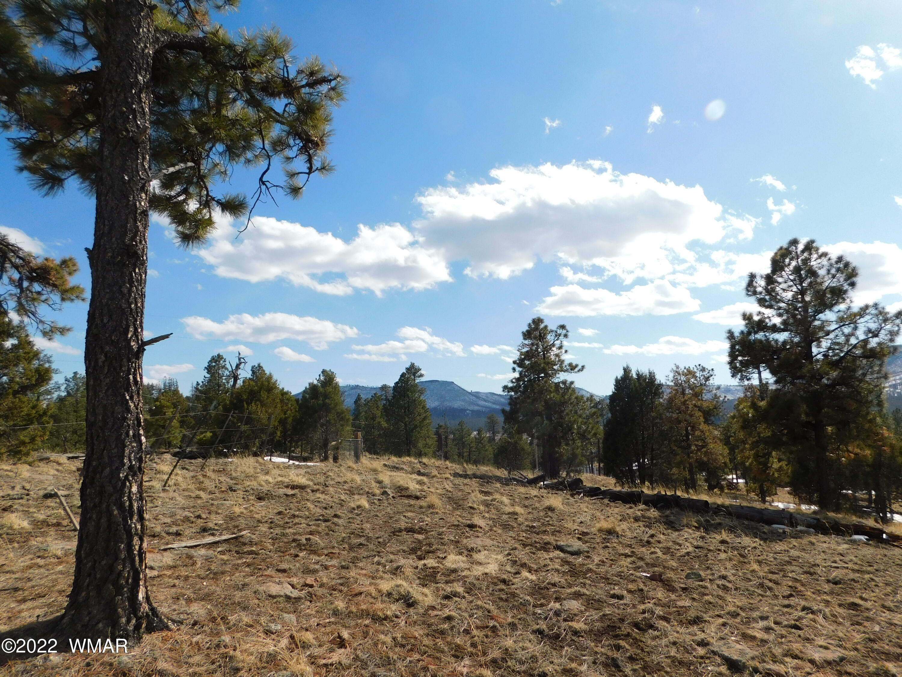 42 County Road Alpine, AZ 85920 - Photo 13 of 17