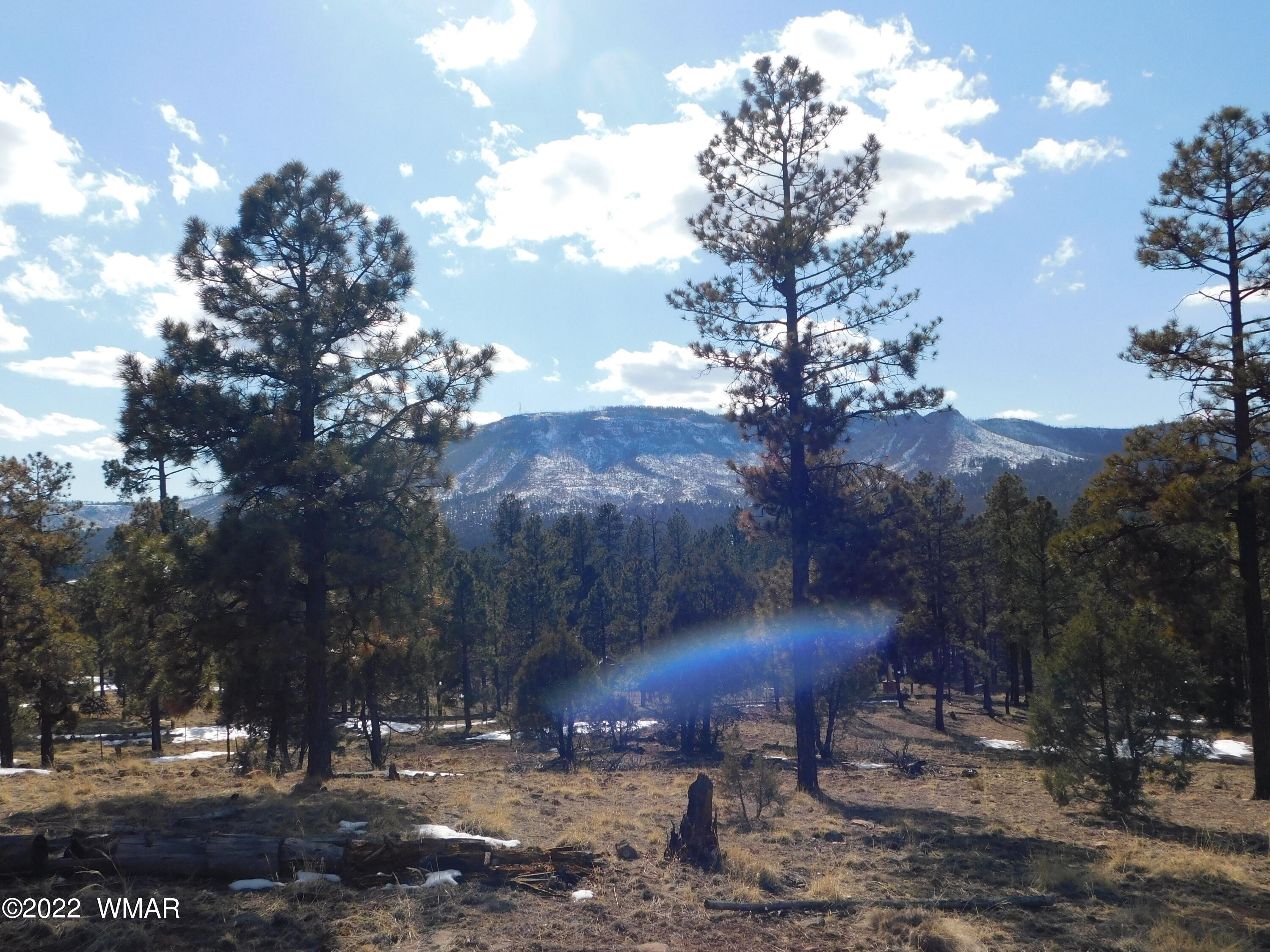 42 County Road Alpine, AZ 85920 - Photo 14 of 17