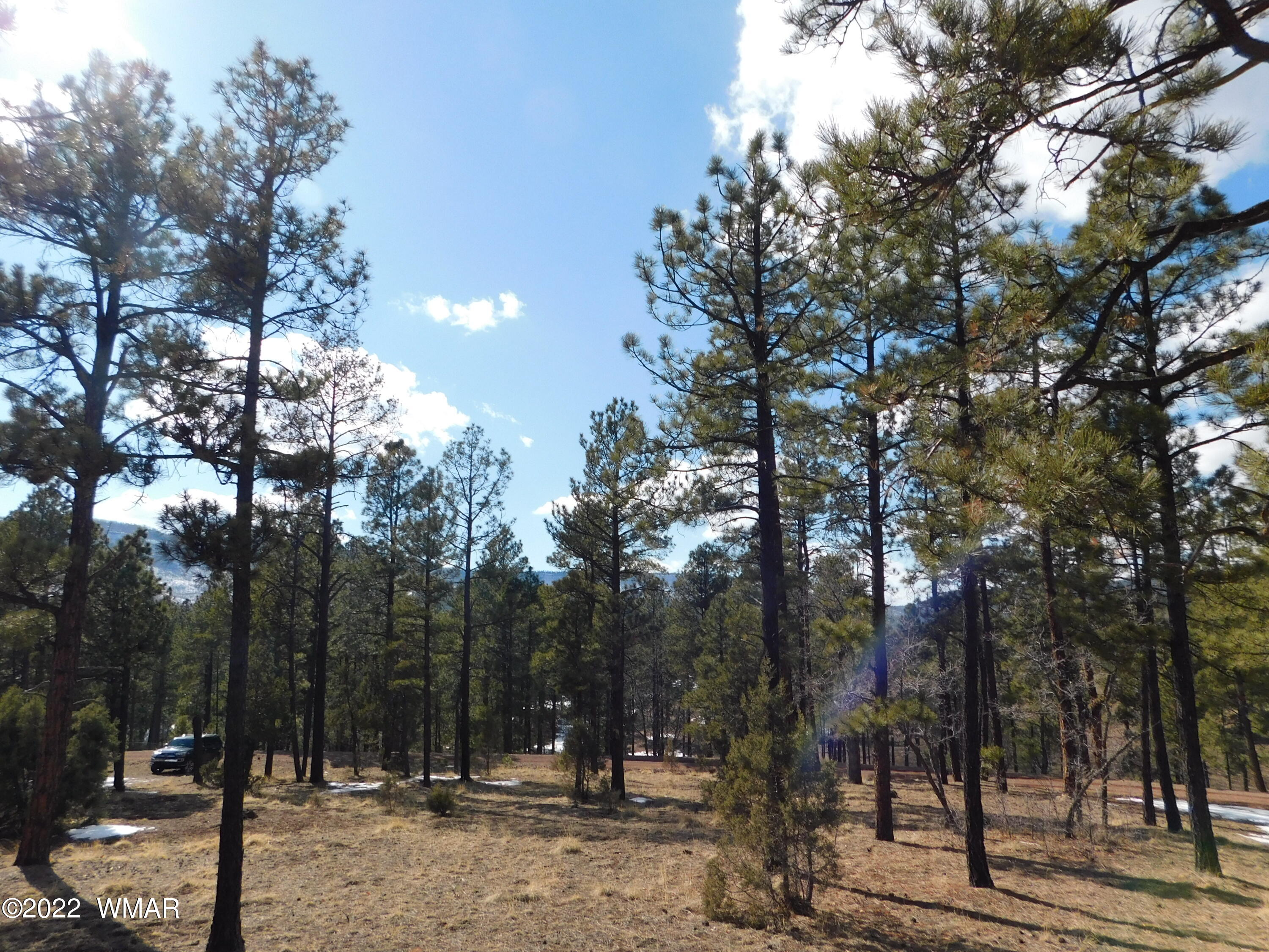 42 County Road Alpine, AZ 85920 - Photo 15 of 17