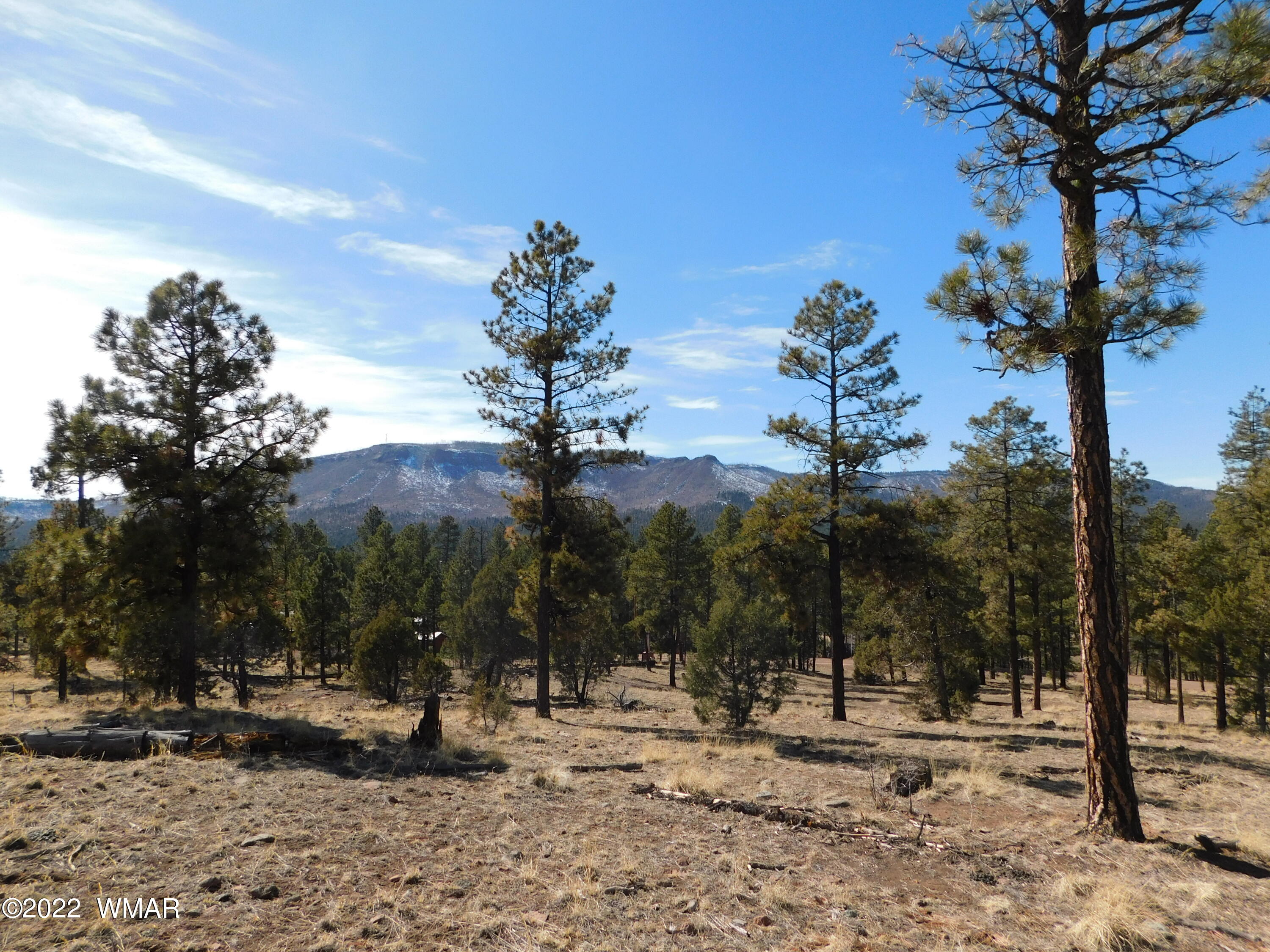 42 County Road Alpine, AZ 85920 - Photo 16 of 17