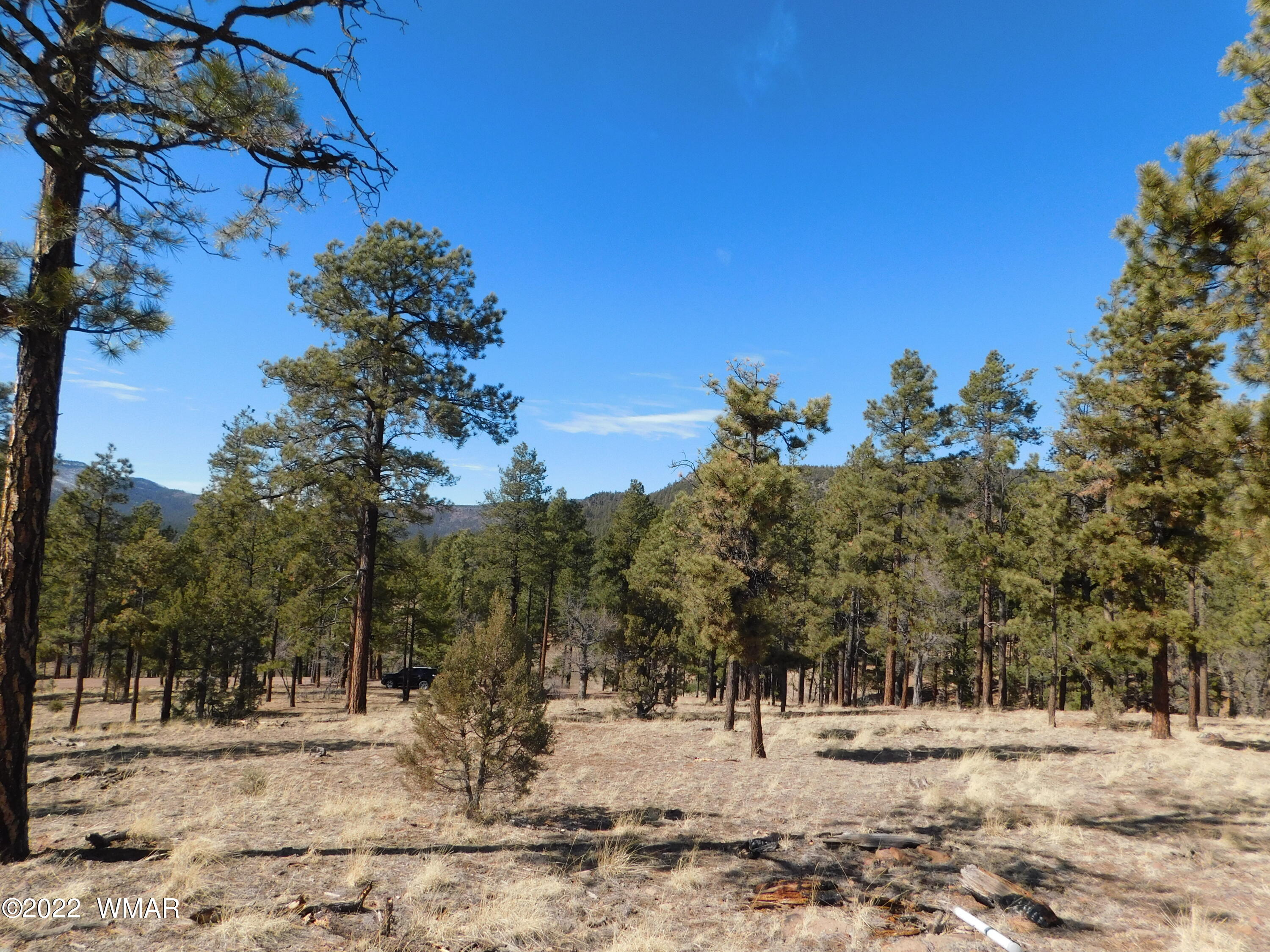 42 County Road Alpine, AZ 85920 - Photo 17 of 17
