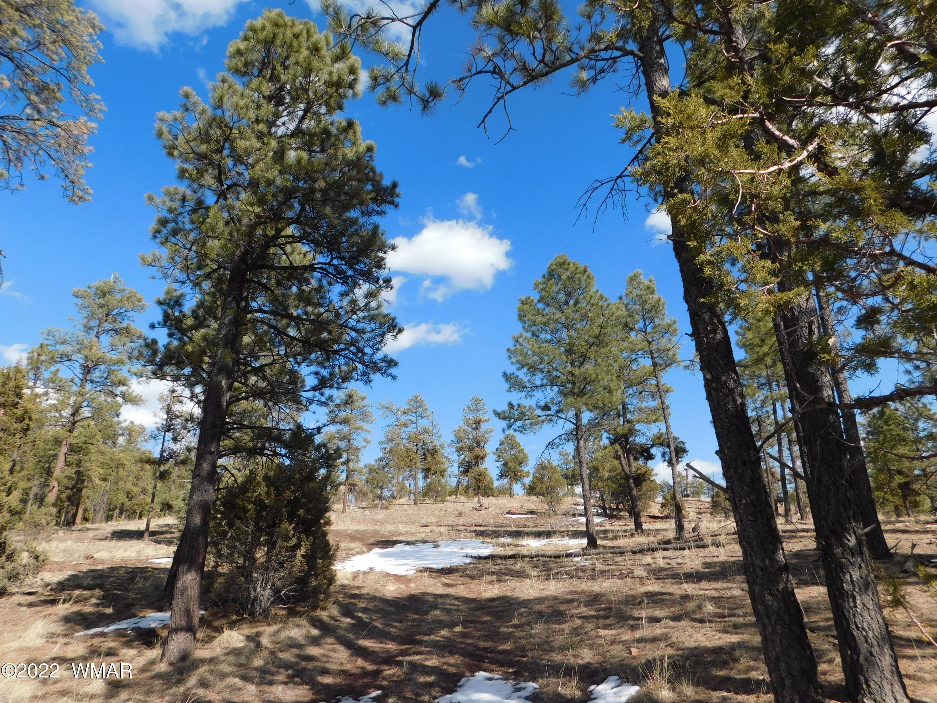 42 County Road Alpine, AZ 85920 - Photo 3 of 17