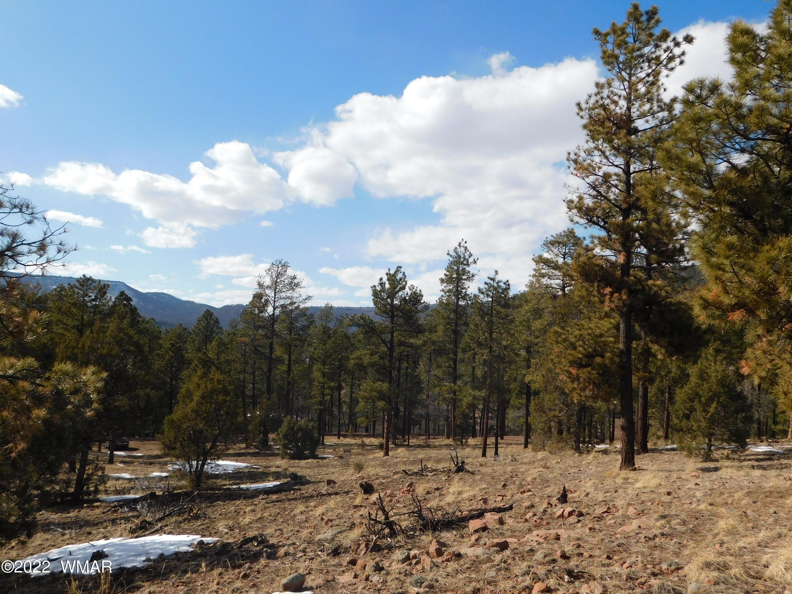 42 County Road Alpine, AZ 85920 - Photo 4 of 17