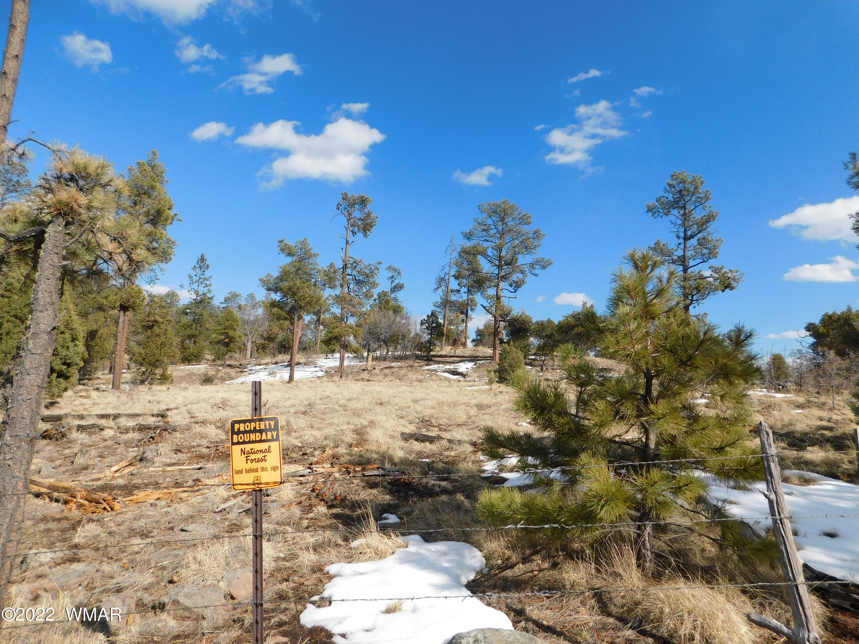 42 County Road Alpine, AZ 85920 - Photo 5 of 17
