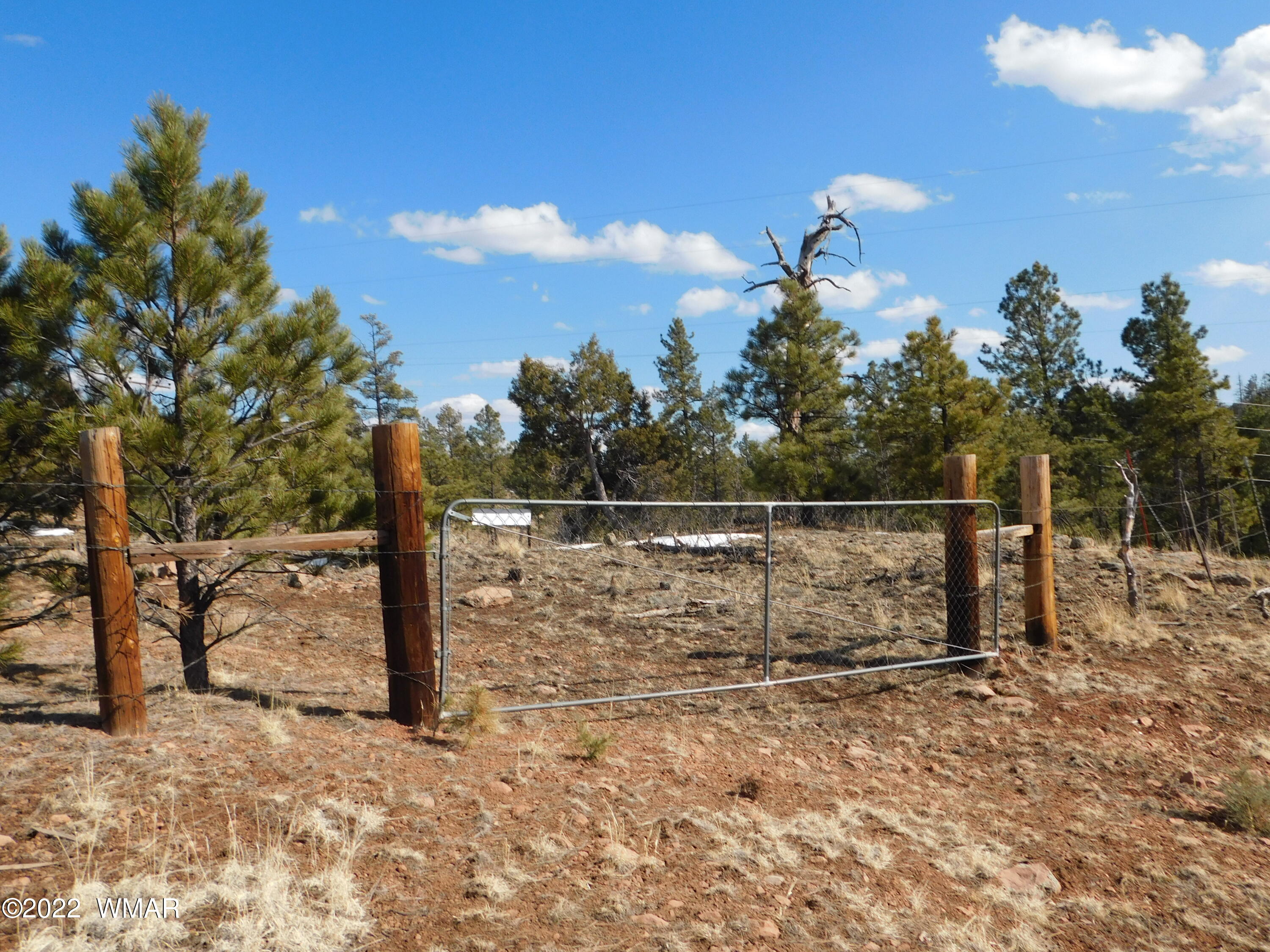 42 County Road Alpine, AZ 85920 - Photo 6 of 17